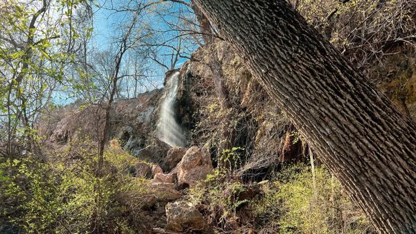 Colorado Bend State Park by null
