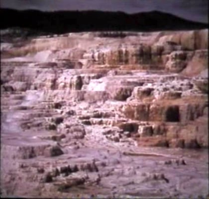 Mammoth Hot Springs by null