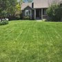 Photo of Ramirez & Son Lawn Care