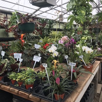 Southwest Gardens - Nurseries & Gardening Near Me - Wheat Ridge, Colorado Southwest Gardens - Nurseries & Gardening Near Me - Wheat Ridge, Colorado