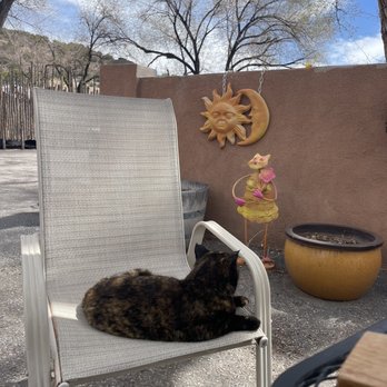 Black Mesa Winery - CEO - Wineries Near Me - Velarde, New Mexico