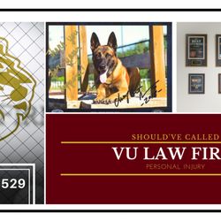 The Vu Law Firm