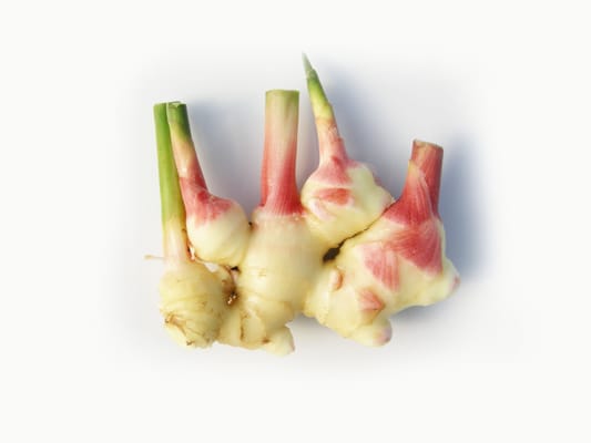 Blue Moon Acres Buckingham, PA by null