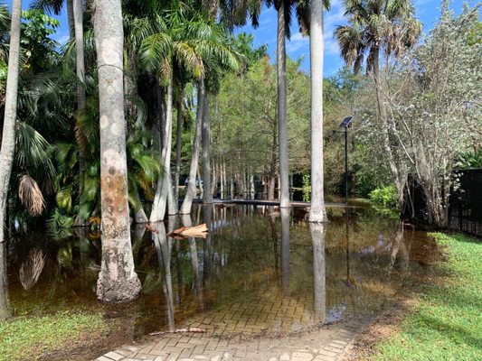 Richardson Historic Park & Nature Preserve by null