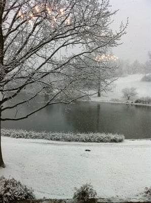 Boar's Head Resort by null