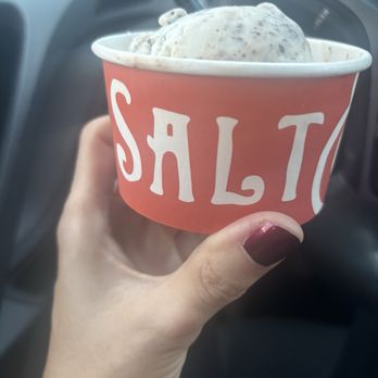 Salt & Straw - Freckled mint chocolate- nondairy - Ice Cream & Frozen Yogurt Near Me - Phoenix, Arizona