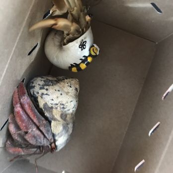 dog and human gift baskets