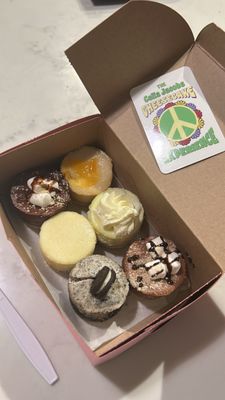The Celia Jacobs Cheesecake Experience by null