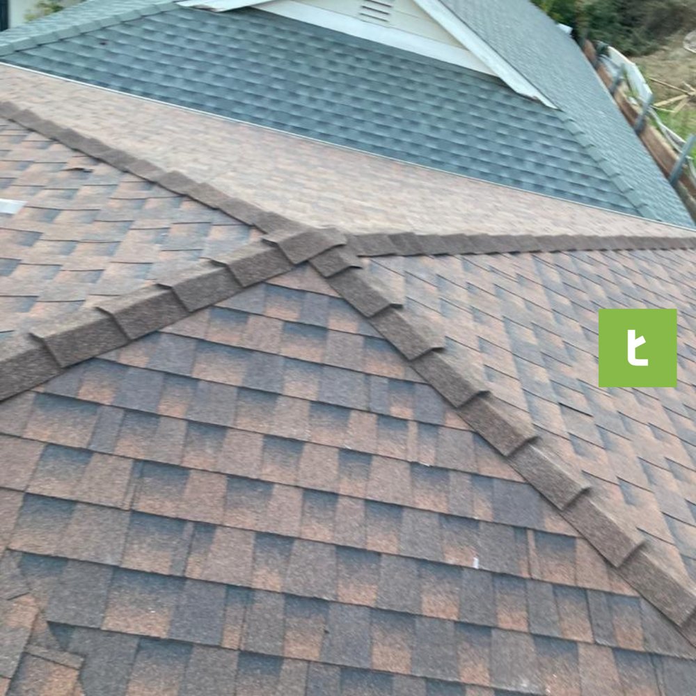 Slide of Treeium Energy