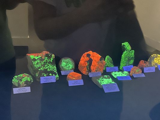 Museum of Arts and Sciences by null