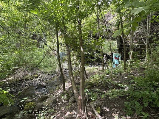 Butterfly Park Naturescape