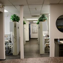 Alex Martin, DDS