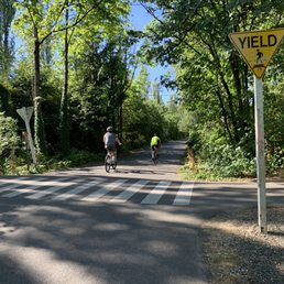 Trail intersection with Whatcom Lane, Wednesday 16 August 2023.
