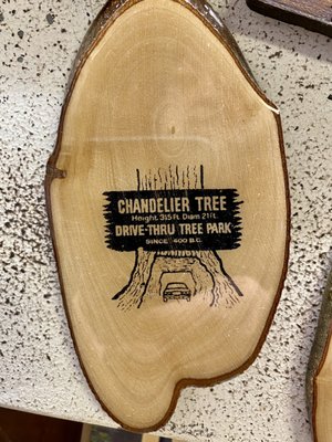 Drive-Thru Tree Park Leggett by null