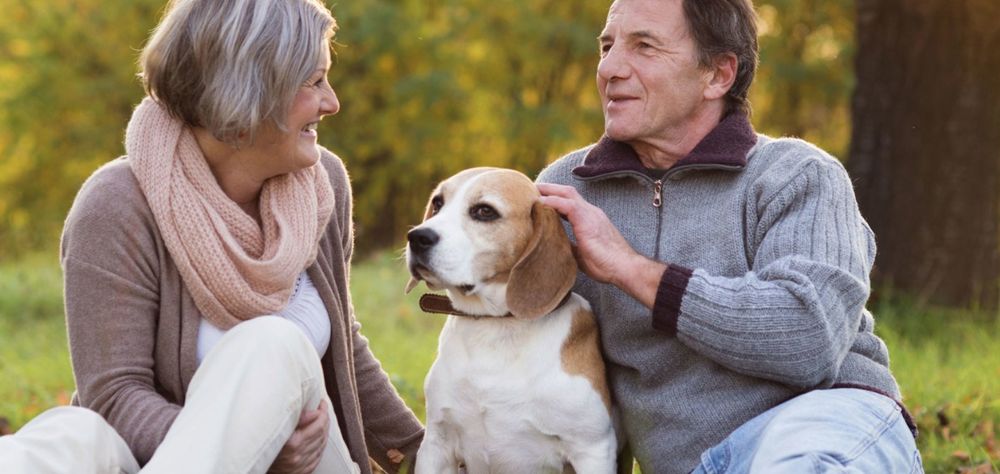 Furever Cats And Dogs - social services organization in St. Clair Shores, MI