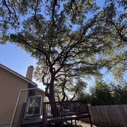 Aaron's Tree Service