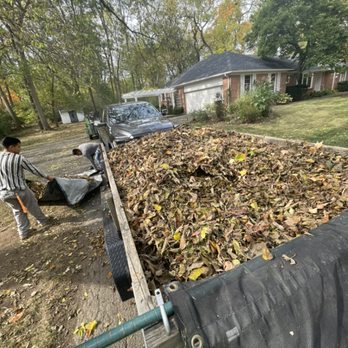 Prime Service Ohio - Leaf clean-up - Lawn Services Near Me - Columbus, Ohio Prime Service Ohio - Leaf clean-up - Lawn Services Near Me - Columbus, Ohio