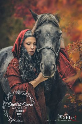 New York Institute of Photography by null