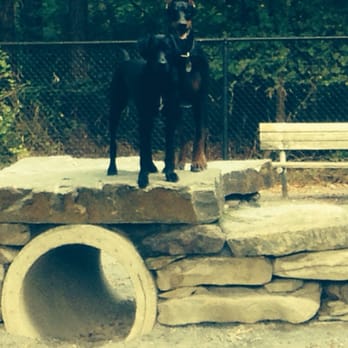 Wheaton Regional Dog Park - Dog Parks Near Me - Wheaton, Maryland