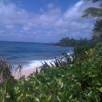 Laniakea Beach - 2010 - Beaches Near Me - Haleiwa, Hawaii Laniakea Beach - 2010 - Beaches Near Me - Haleiwa, Hawaii