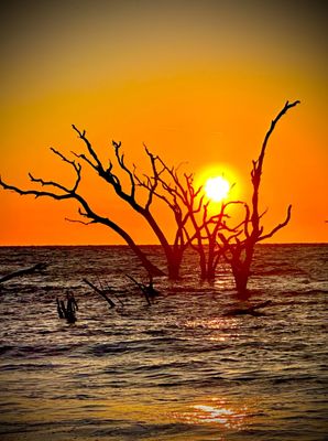 Botany Bay Heritage Preserve/Wildlife Management Area by null