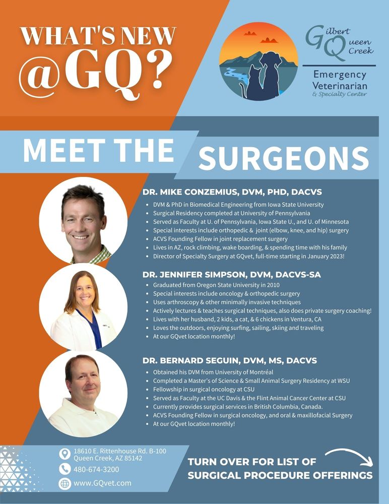 GILBERT QUEEN CREEK EMERGENCY VETERINARIAN & PET URGENT CARE 108