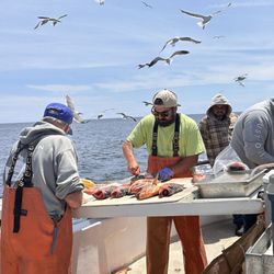 Channel Islands Sportfishing