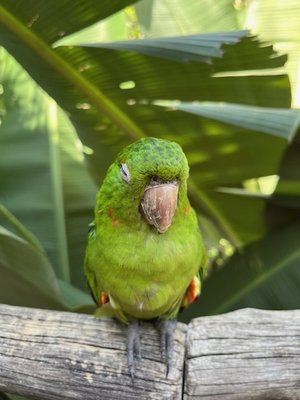 Parque das Aves by null