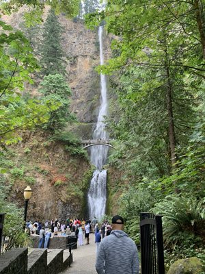 Multnomah Falls by null