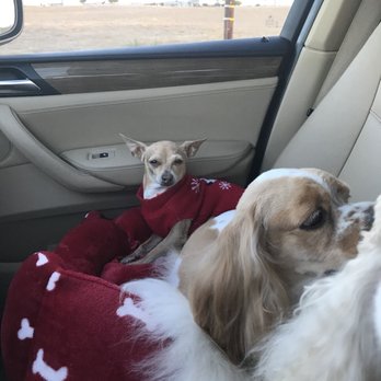 FeFe's Grooming Salon - Pet Groomers Near Me - Murrieta, California