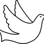 Photo of Shalom, Inc