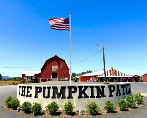 The Pumpkin Patch on Sauvie Island, Portland's original by null