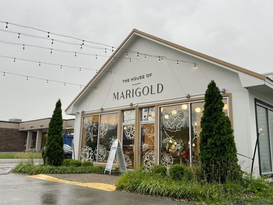 The House of Marigold by null