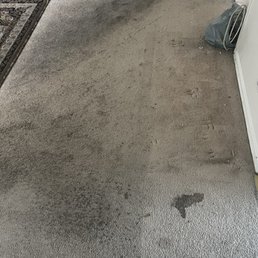 Before carpets got cleaned Before carpets got cleaned
