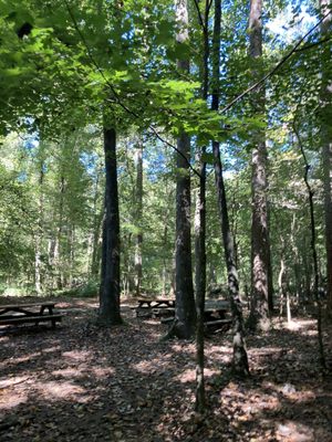 Cascade Springs Nature Preserve by null