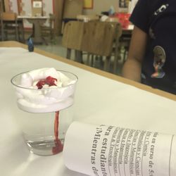 Arminta St Elementary School - My kids enjoyed doing an activity like this one.