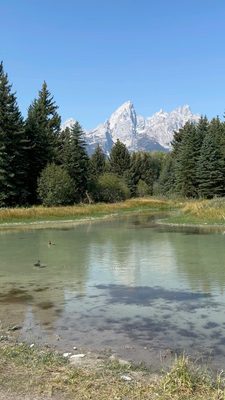 Schwabacher Landing by null
