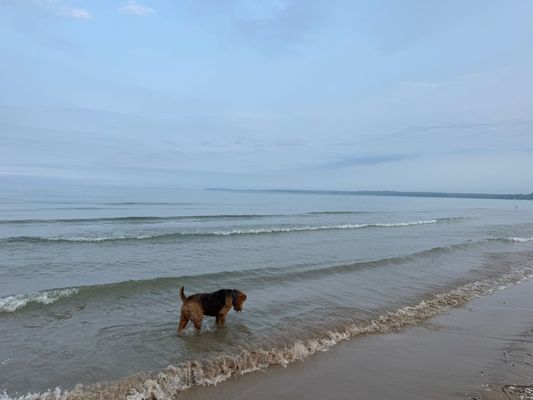Sandbanks Provincial Park by null