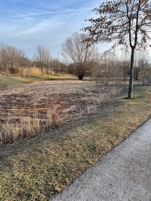 George George Memorial Park by null