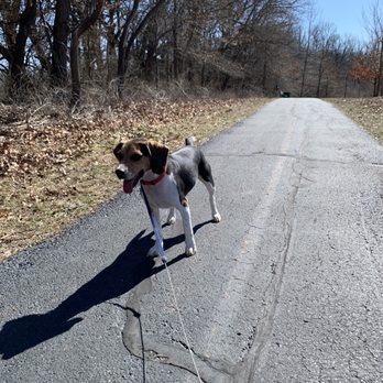 Rock Springs Park - Trails - Parks Near Me - O'Fallon, Illinois Rock Springs Park - Trails - Parks Near Me - O'Fallon, Illinois