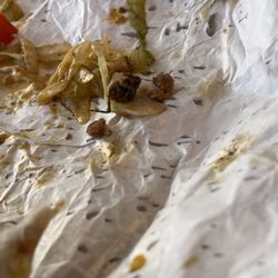 Bug in my burrito