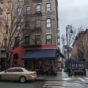 Photo of Little Owl - New York, NY, United States