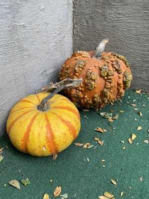 Something From The Farm