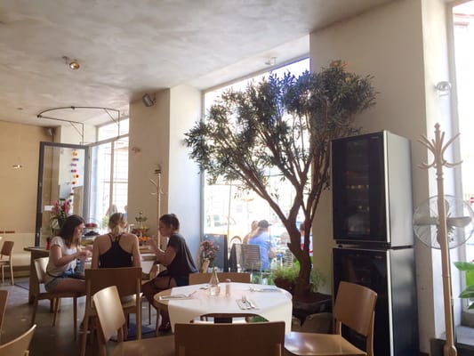 Mistral Cafe by null