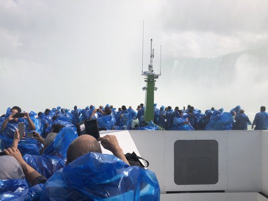 Maid of the Mist by null