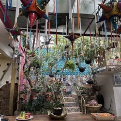 Rosie's Vallarta Cooking - Beautiful home and garden!