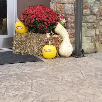 Noodles and Company - Fall Decor - Noodles Near Me - Lexington, Kentucky Noodles and Company - Fall Decor - Noodles Near Me - Lexington, Kentucky