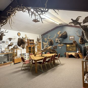 The Wyman Museum - Trophy room - July 2025 - Museums Near Me - Craig, Colorado The Wyman Museum - Trophy room - July 2025 - Museums Near Me - Craig, Colorado
