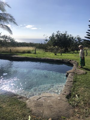 Puakea Ranch by null