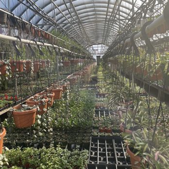 Big Bloomers Flower Farm - Nurseries & Gardening Near Me - Sanford, North Carolina Big Bloomers Flower Farm - Nurseries & Gardening Near Me - Sanford, North Carolina
